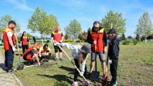 voluntari participanți la o acțiune de plantare în comuna Cumpăna