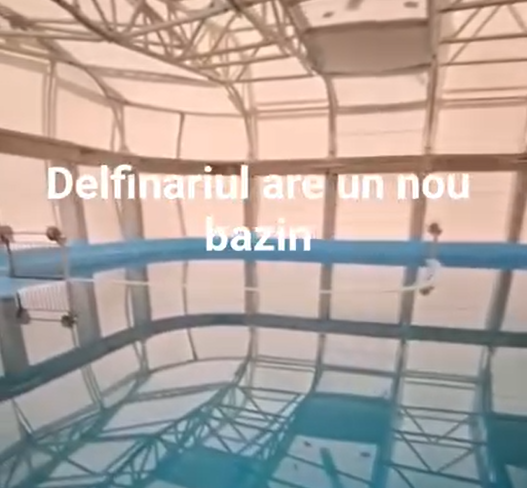 Bazinul nou construit la Delfinariul din Constanța