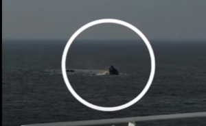 Imagine cu operațiuni maritime în largul Portului Midia după scufundarea remorcherului Astana