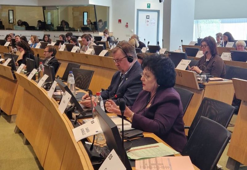 Mariana Gâju, primarul comunei Cumpăna, la Bruxelles, la reuniunea Comisiei ENVE