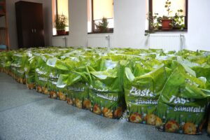 Pachete de Paște pregătite pentru distribuire către beneficiarii din comuna Cumpăna