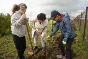 Voluntari plantează puieți în Parcul Verde din Cumpăna
