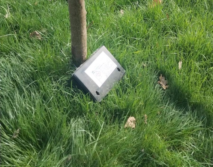 Stație de intoxicare pentru deratizare amplasată lângă un copac, într-o zonă verde din Constanța.