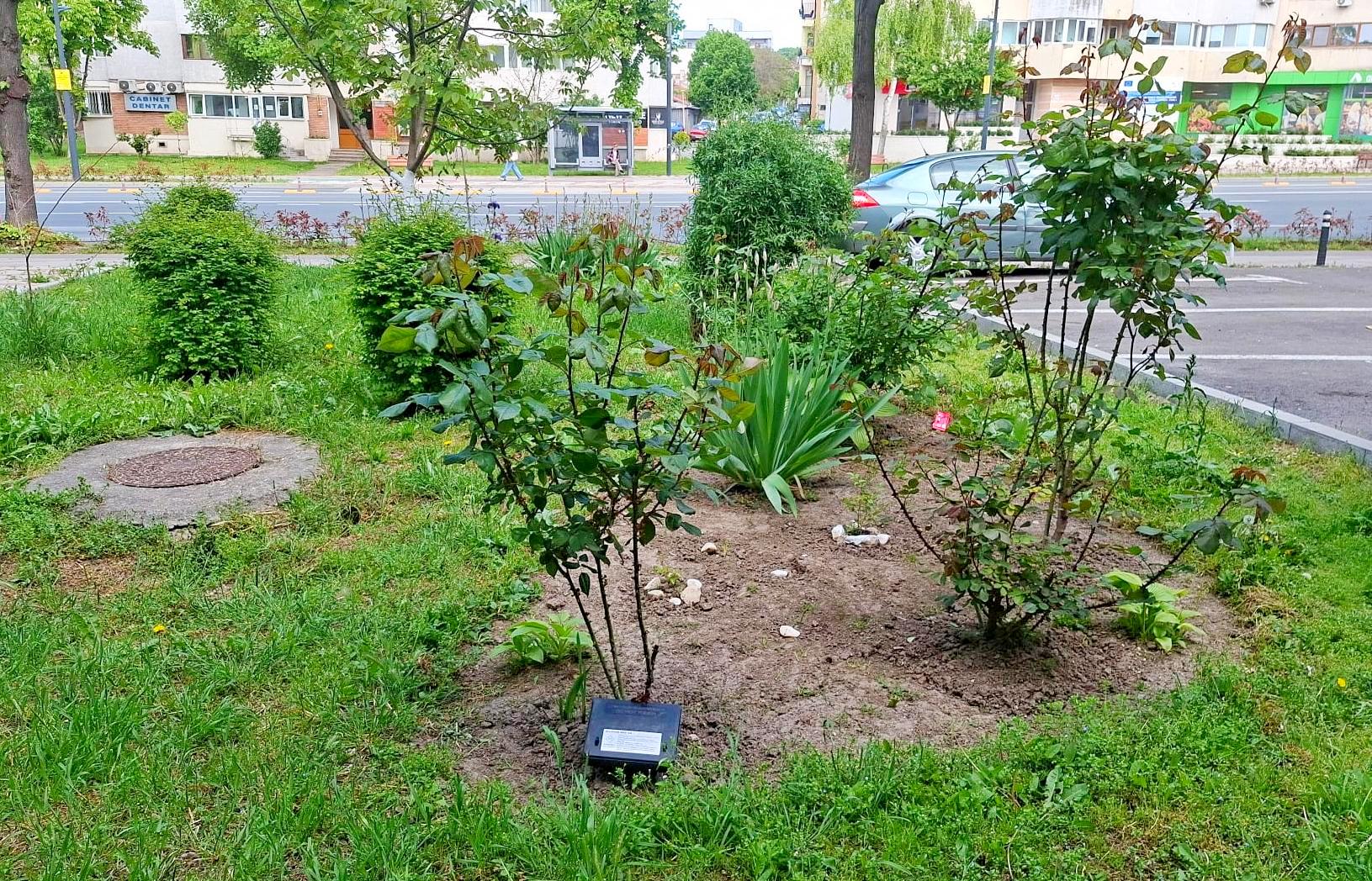 Stație de intoxicare pentru deratizare amplasată într-o zonă verde din Constanța