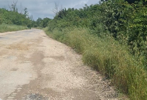Drum degradat din zona stațiunii Venus, înaintea lucrărilor de reabilitare anunțate pentru sudul litoralului
