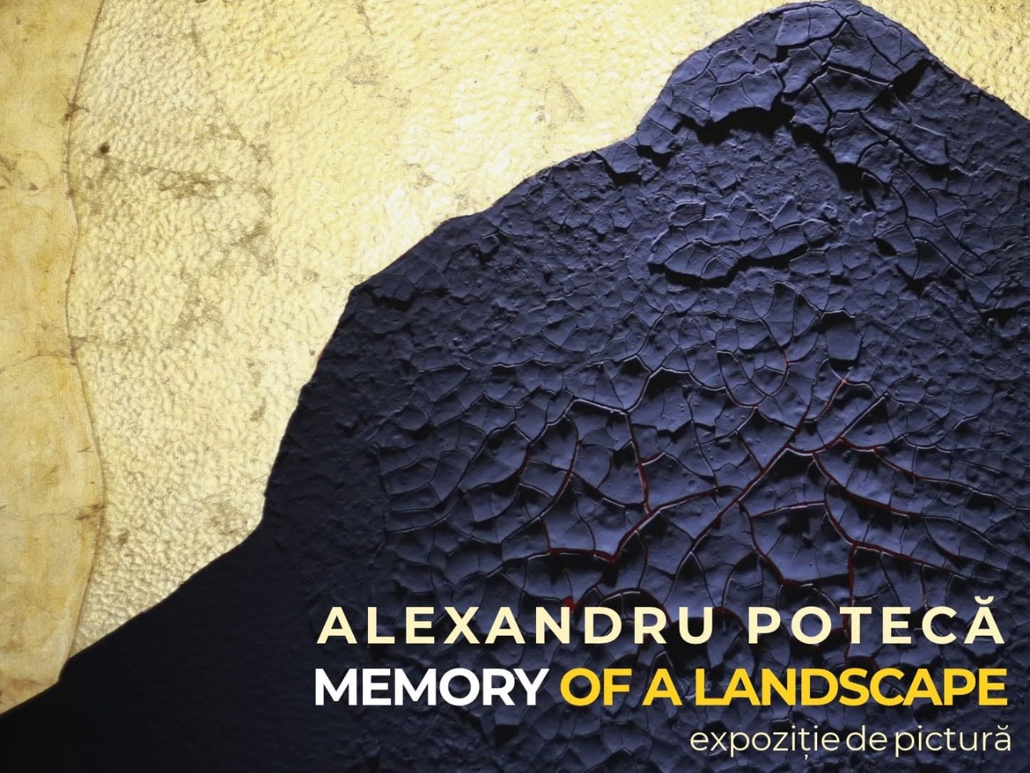 Memory of a Landscape – expoziția lui Alexandru Potecă la Muzeul de Artă Constanța